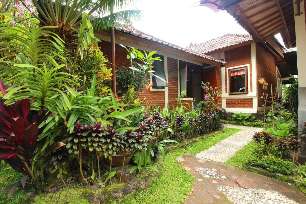 Made Homestay Munduk Екстериор снимка
