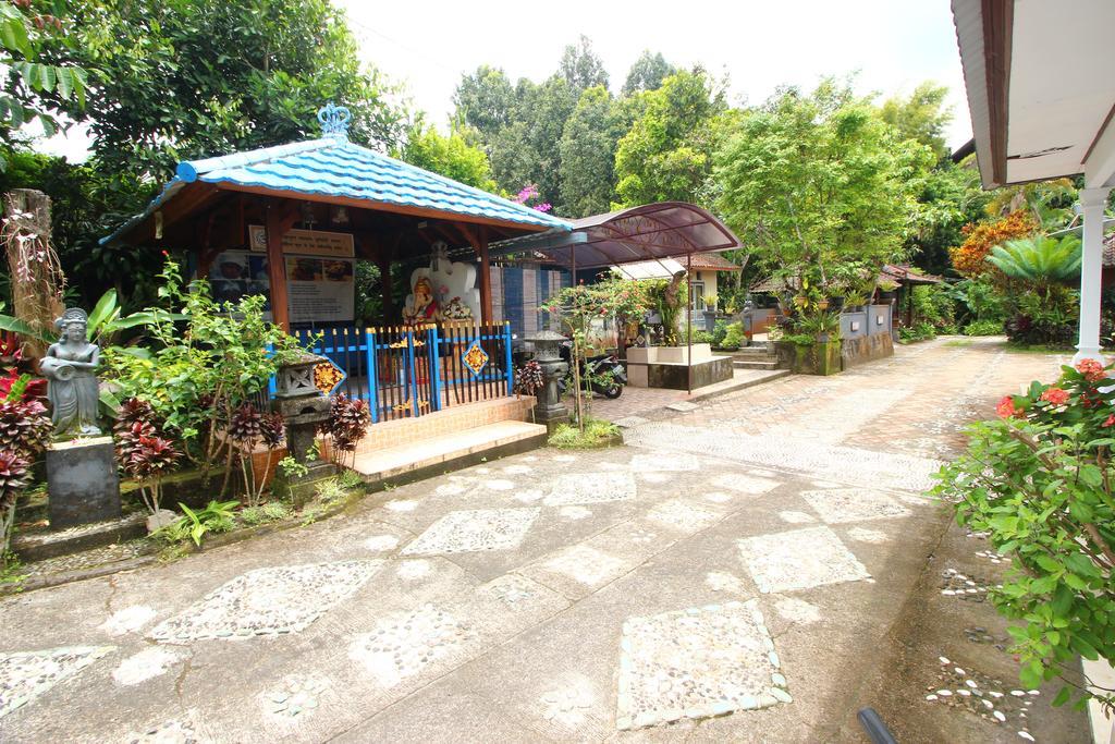Made Homestay Munduk Екстериор снимка